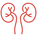 Fachbereich Kindernephrologie