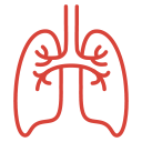 Fachbereich Kinderpneumologie und Allergologie